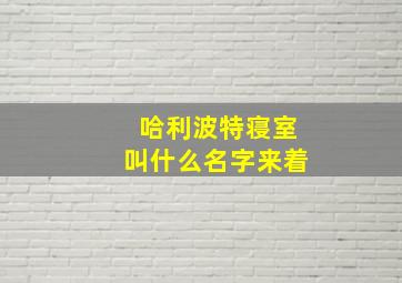 哈利波特寝室叫什么名字来着