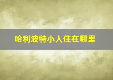 哈利波特小人住在哪里