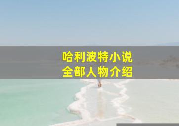 哈利波特小说全部人物介绍