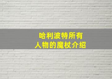 哈利波特所有人物的魔杖介绍