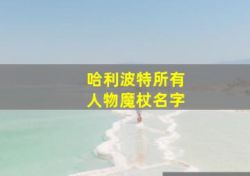 哈利波特所有人物魔杖名字