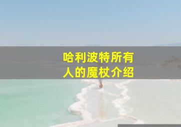 哈利波特所有人的魔杖介绍