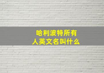 哈利波特所有人英文名叫什么