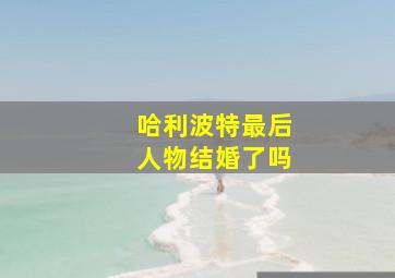 哈利波特最后人物结婚了吗