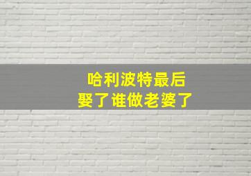 哈利波特最后娶了谁做老婆了