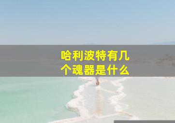 哈利波特有几个魂器是什么