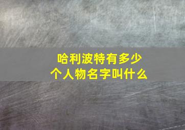 哈利波特有多少个人物名字叫什么