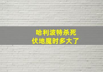 哈利波特杀死伏地魔时多大了