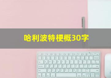 哈利波特梗概30字