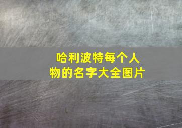 哈利波特每个人物的名字大全图片