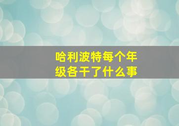 哈利波特每个年级各干了什么事