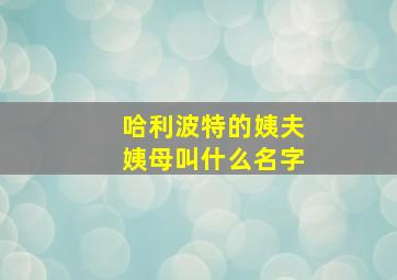 哈利波特的姨夫姨母叫什么名字