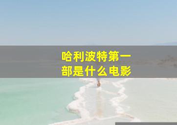 哈利波特第一部是什么电影