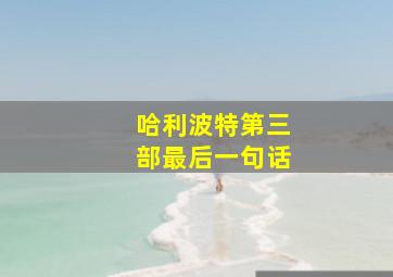 哈利波特第三部最后一句话