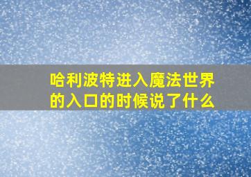 哈利波特进入魔法世界的入口的时候说了什么