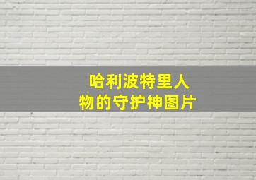 哈利波特里人物的守护神图片