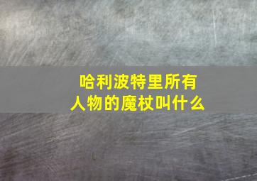 哈利波特里所有人物的魔杖叫什么