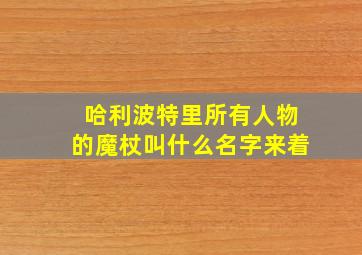 哈利波特里所有人物的魔杖叫什么名字来着