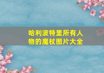 哈利波特里所有人物的魔杖图片大全