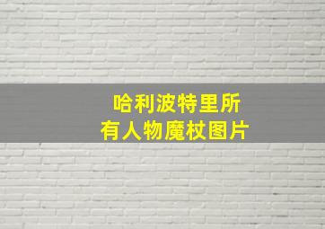 哈利波特里所有人物魔杖图片