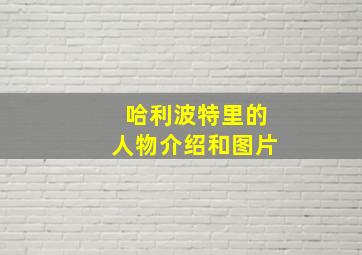 哈利波特里的人物介绍和图片