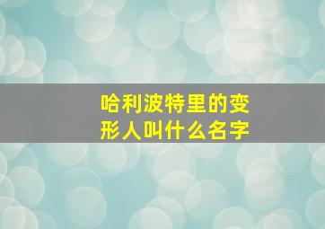 哈利波特里的变形人叫什么名字