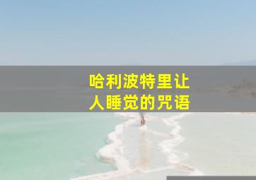 哈利波特里让人睡觉的咒语