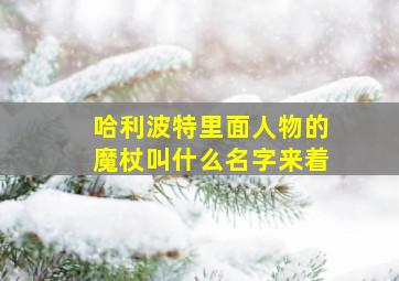 哈利波特里面人物的魔杖叫什么名字来着