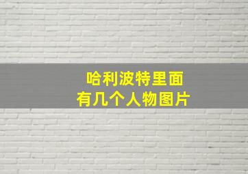 哈利波特里面有几个人物图片