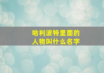 哈利波特里面的人物叫什么名字