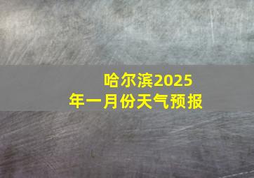 哈尔滨2025年一月份天气预报