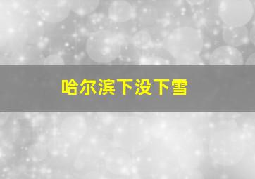 哈尔滨下没下雪