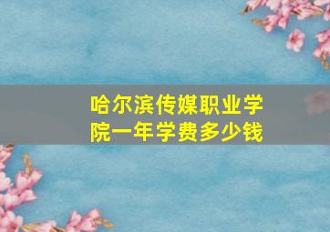 哈尔滨传媒职业学院一年学费多少钱