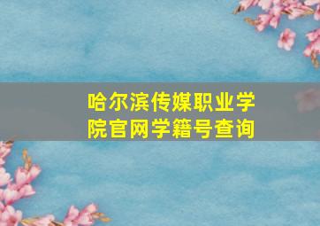 哈尔滨传媒职业学院官网学籍号查询