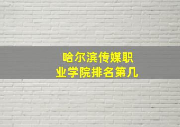 哈尔滨传媒职业学院排名第几