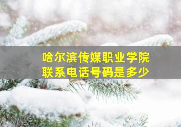 哈尔滨传媒职业学院联系电话号码是多少