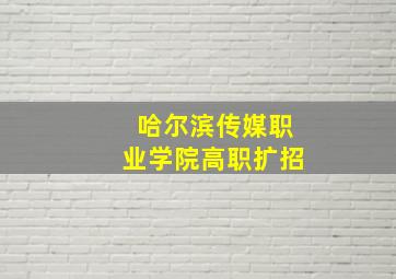 哈尔滨传媒职业学院高职扩招