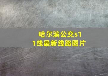 哈尔滨公交s11线最新线路图片