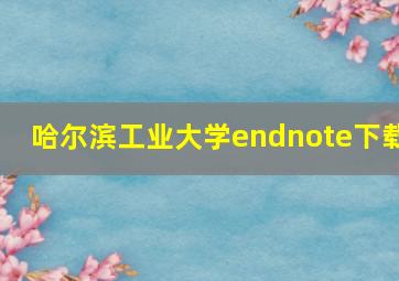 哈尔滨工业大学endnote下载