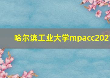 哈尔滨工业大学mpacc2021