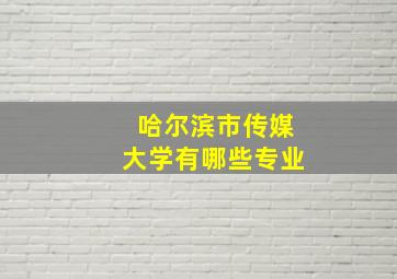 哈尔滨市传媒大学有哪些专业