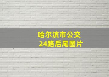 哈尔滨市公交24路后尾图片