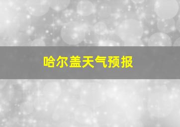 哈尔盖天气预报