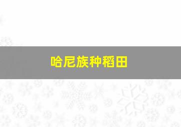 哈尼族种稻田