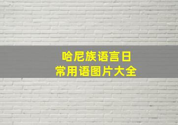 哈尼族语言日常用语图片大全