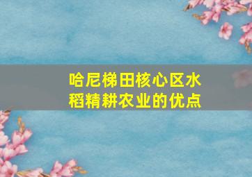 哈尼梯田核心区水稻精耕农业的优点