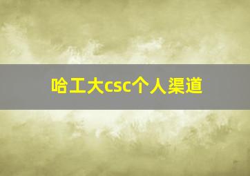 哈工大csc个人渠道