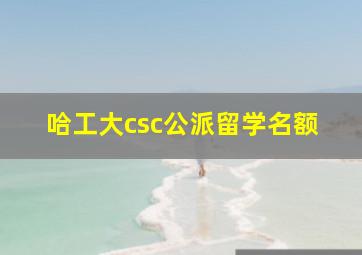 哈工大csc公派留学名额