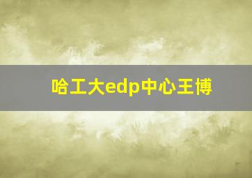 哈工大edp中心王博