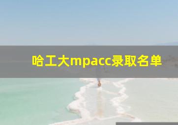 哈工大mpacc录取名单